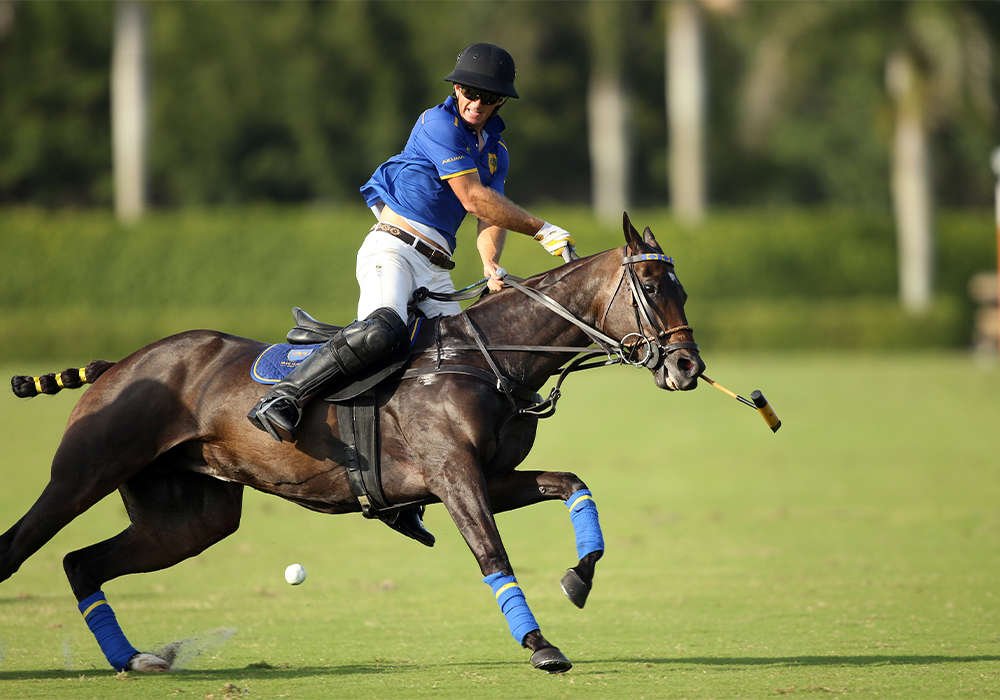 US Polo