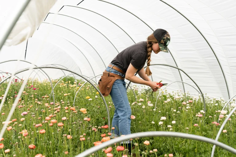 Grow More, Waste Less: How Greenhouses are Transforming Agriculture
