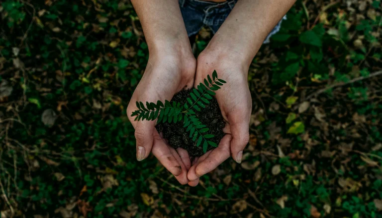 World Environment Day: Can India Become the Blueprint for Sustainable Development?